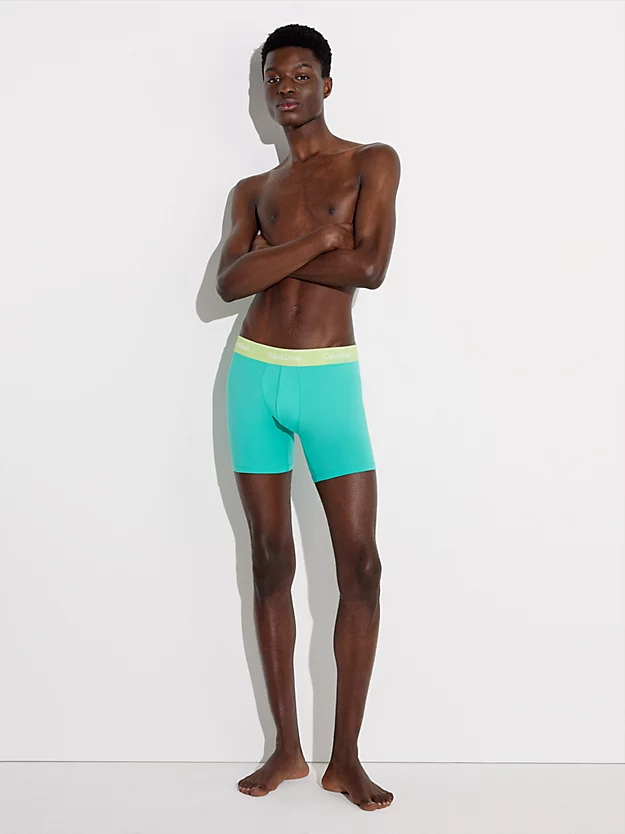 Calvin Klein Boxer Briefs - Pride 7 Calvin Klein Boxer Briefs - Pride - Image 5