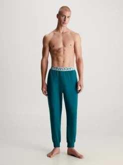 Calvin Klein Lounge Joggers - Steel Cotton -Calvin Cloth Shop 000NM2266E CA4 alternate4
