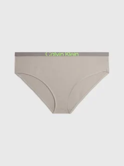 Calvin Klein Plus Size Bikini Briefs - Future Shift