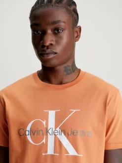 Calvin Klein Slim Organic Cotton Logo T-shirt -Calvin Cloth Shop J30J320806 SEC alternate3